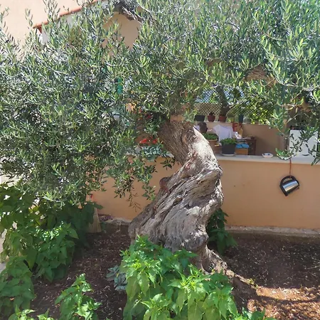 Lägenhet By The Sea Mirca, Brac - 2854 *